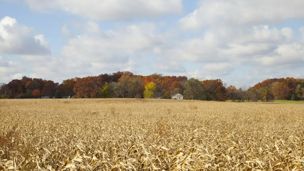 indiana-72362_1920