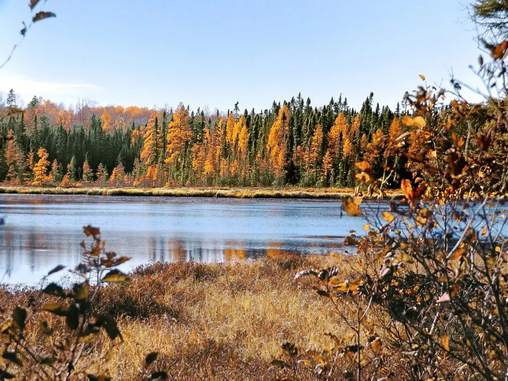 autumn-1581913_1280